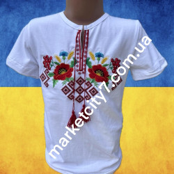 Вишиті футболки для...