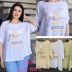 Жіночі футболки (3xl-6xl)...