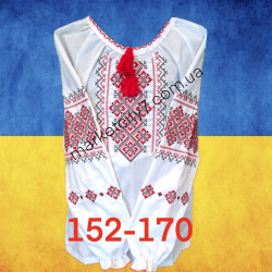 Вишиванки для дівчаток...