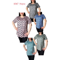 Жіночі футболки (l-4xl)...